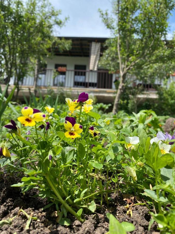 Green Agarak Guest House Near Dendropark, Stepanavan Gyulagarak Ngoại thất bức ảnh
