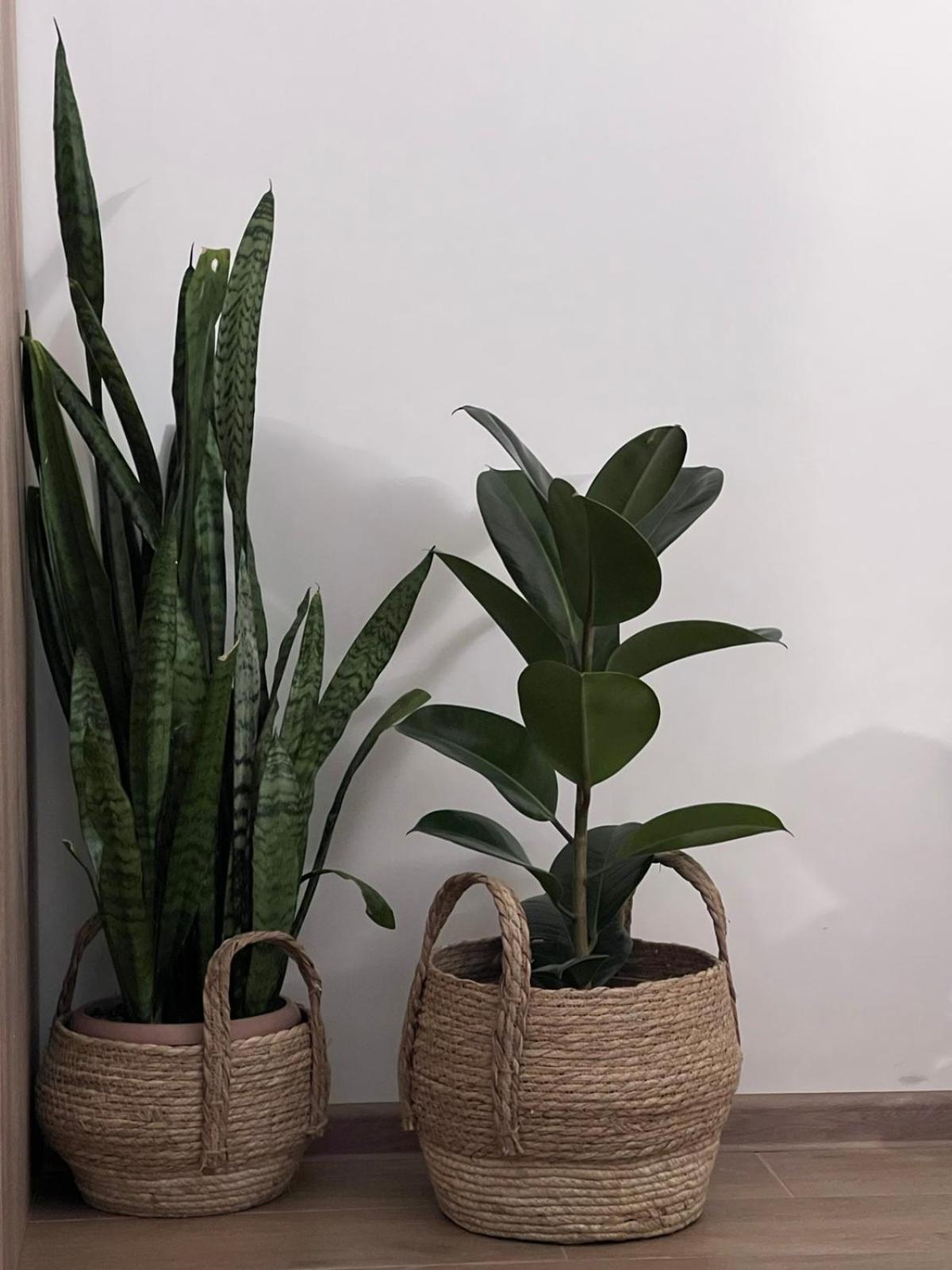 Green Agarak Guest House Near Dendropark, Stepanavan Gyulagarak Ngoại thất bức ảnh